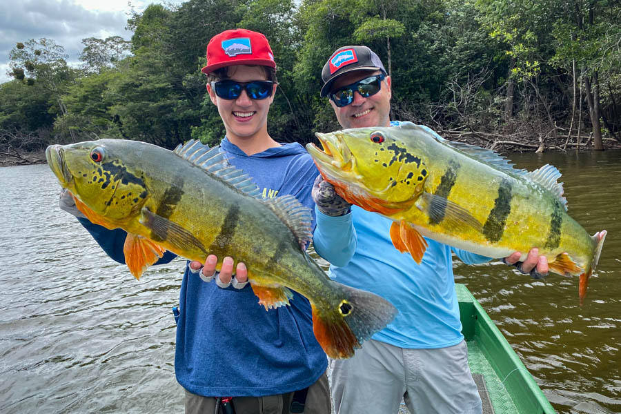Temensis are the largest variety of peacock bass in the Amazon system. These hard fighting fish are a spectacular game fish. Their explosive takes, large size and rod busting fights must be experienced first hand to fully appreciate
