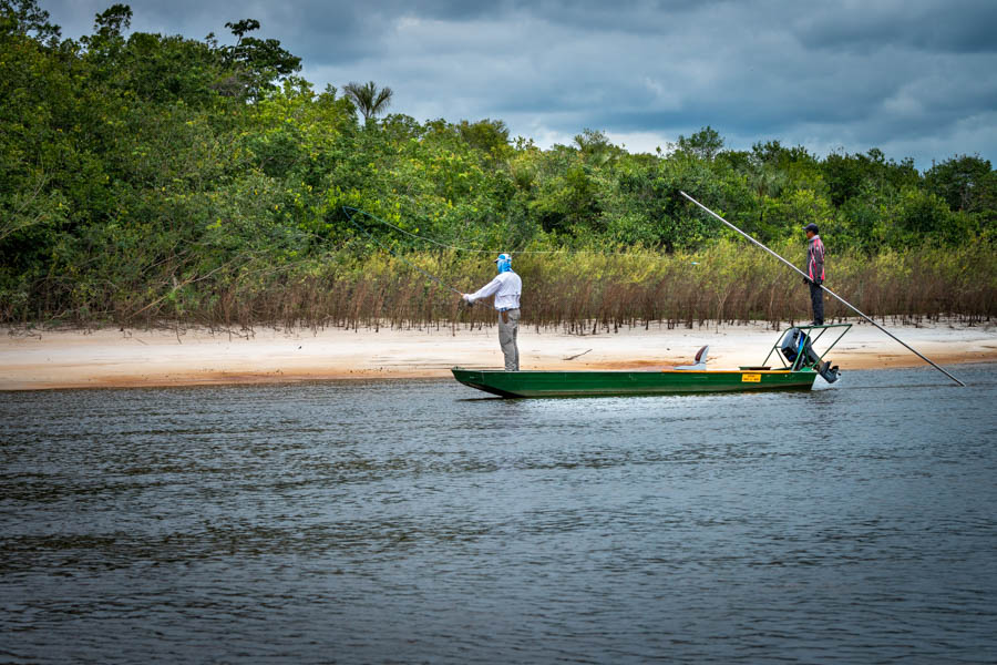 The modified skiffs are perfect for cruising across shallow sand bars. Depending on water levels either a prop engine or a jet is used. Once you arrive at the fishing grounds the guides poll the skiff from a platform while searching for cruising peacock bass