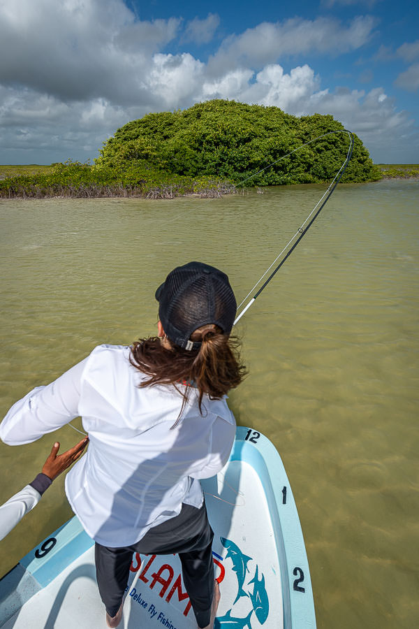 Fly Fishing in Mexico