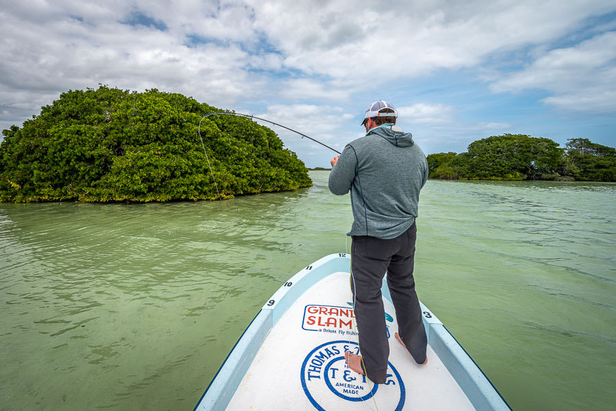 casting to tarpon