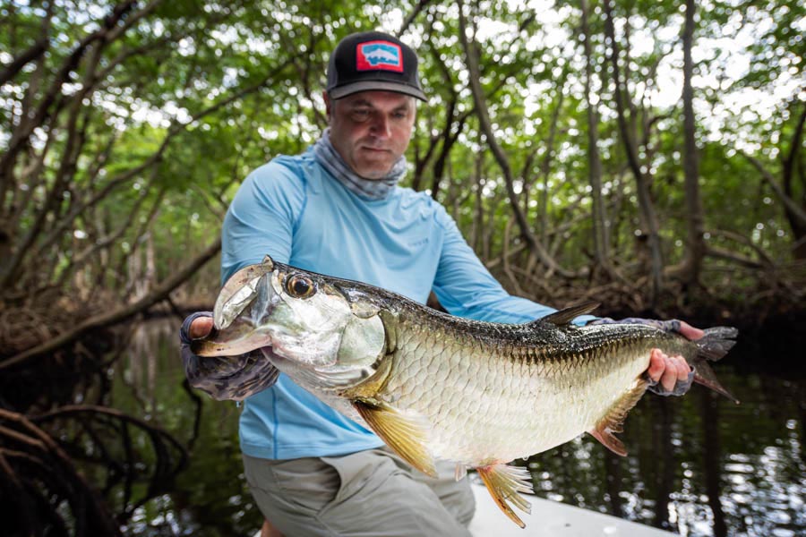 tarpon on fly