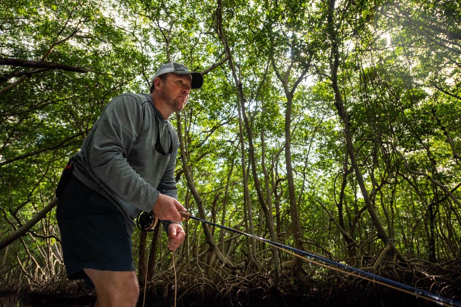 mangrove fishing