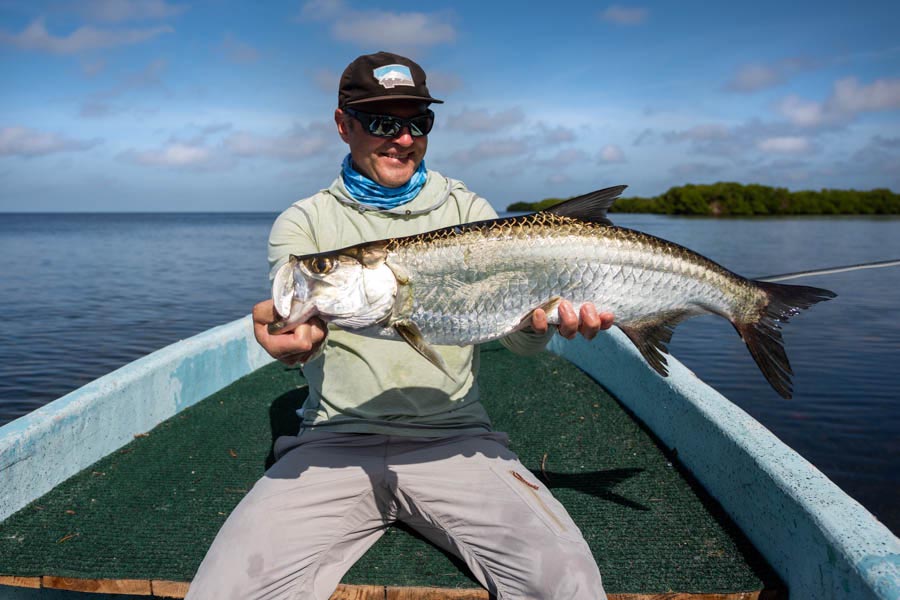 Campeche tarpon 1