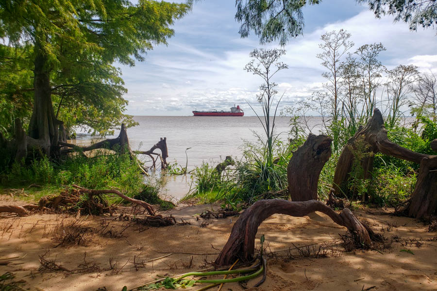 Ship on the Rio Plata The Rio Plata is massive and functions as a major shipping route as well as an excellent dorado fishery
