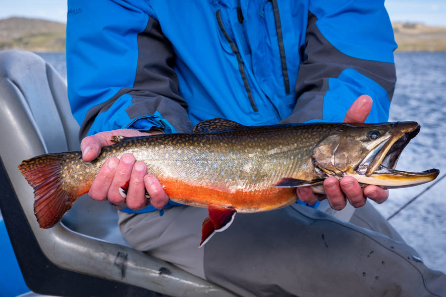 Lago Engano brook trout Lago Engano's brook trout are the stuff of angling dreams