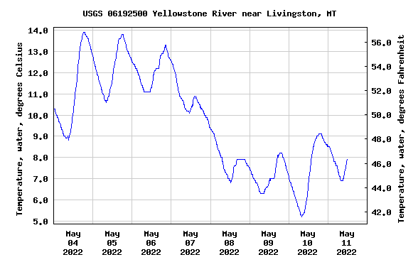 Water Temperatures drive the hatch cycle. When water temps hit 52-54 degrees expect to see a strong hatch. When a cold front moves in and water temperatures drop the hatch will weaken or subside completely. By keeping a close eye on weather and water temperature graphs anglers can better time when to expect a strong hatch.