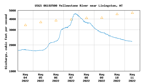 Water levels on the Yellowstone River affect caddis fishing The Yellowstone River is a freestone fishery without any dam protections. When days get too warm snow begins to melt from the snowpack creating rising flows and decreased water clarity. Watch for stable flows for the best chances of dry fly fishing. When cold snaps hit the flows will drop fast with and the river will clear. On the next warm day expect a great hatch!