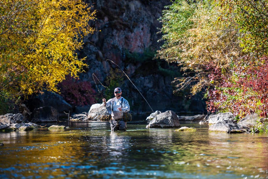 Mountain stream fishing