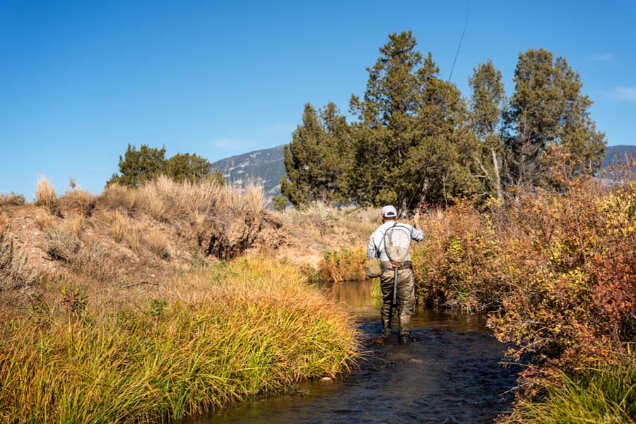 Small stream fishing in Montana