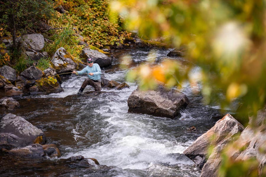 Small Stream fishing