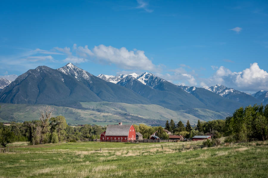 The high peaks od the Absaroka Mountains form a compelling backdrop when fishing Armstrong Spring Creek