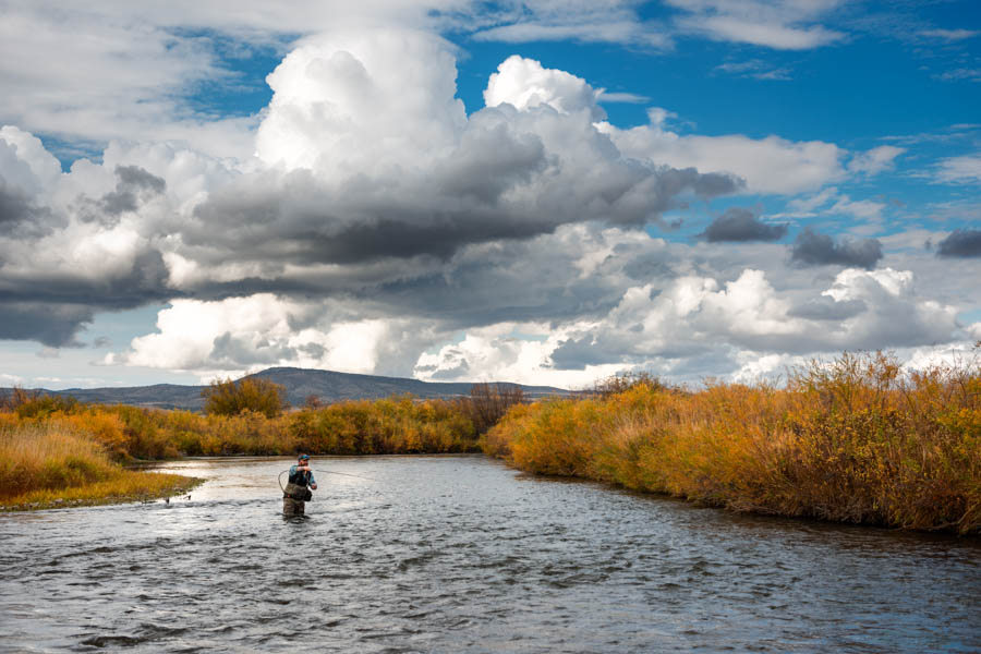 Fall fishing on the East Gallatin River