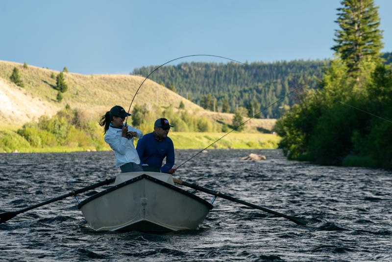Hooked into a solid Madison River brown trout