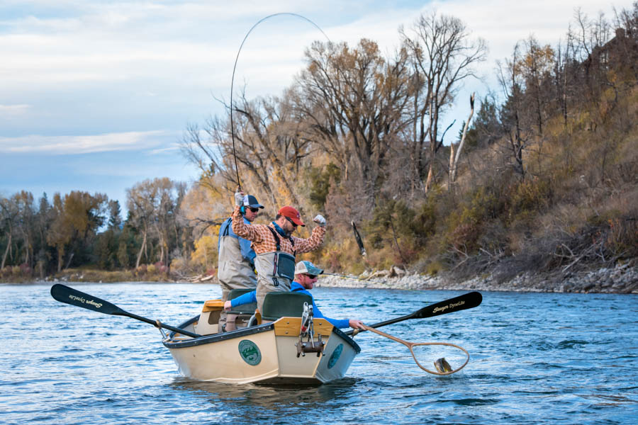 Success is never far off when fishing the Yellowstone