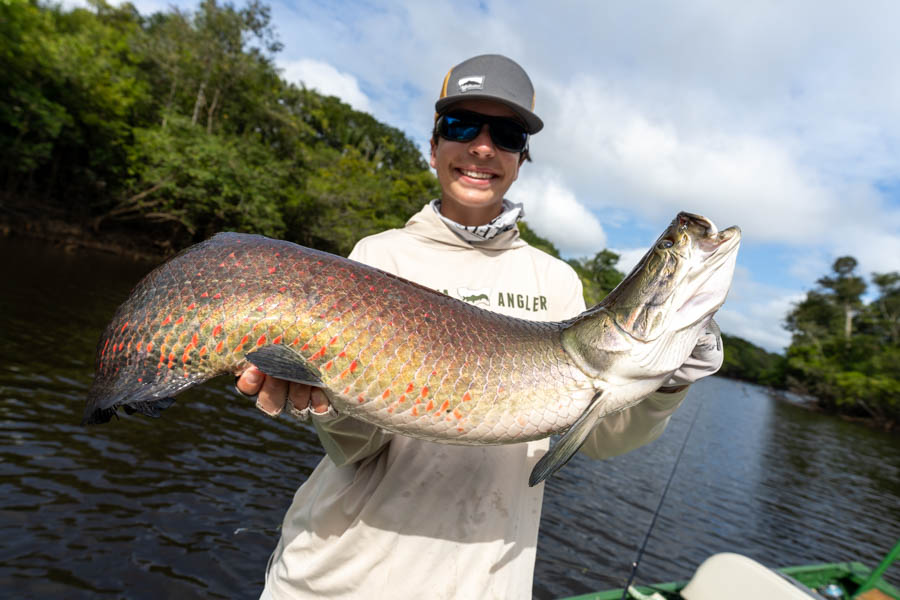 Arapaima in Brazil Arapaima in Brazil