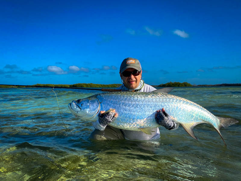 Tarpon in Cuba Tarpon in Cuba