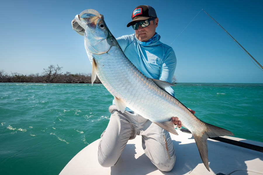 Big Cuba tarpon Big Cuba tarpon