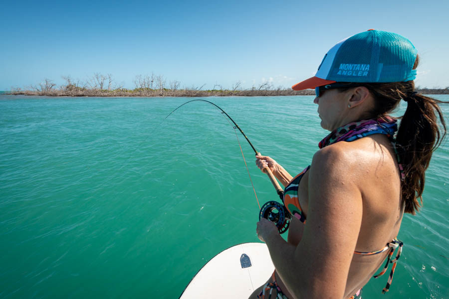 hooked up in Cuba hooked up in Cuba