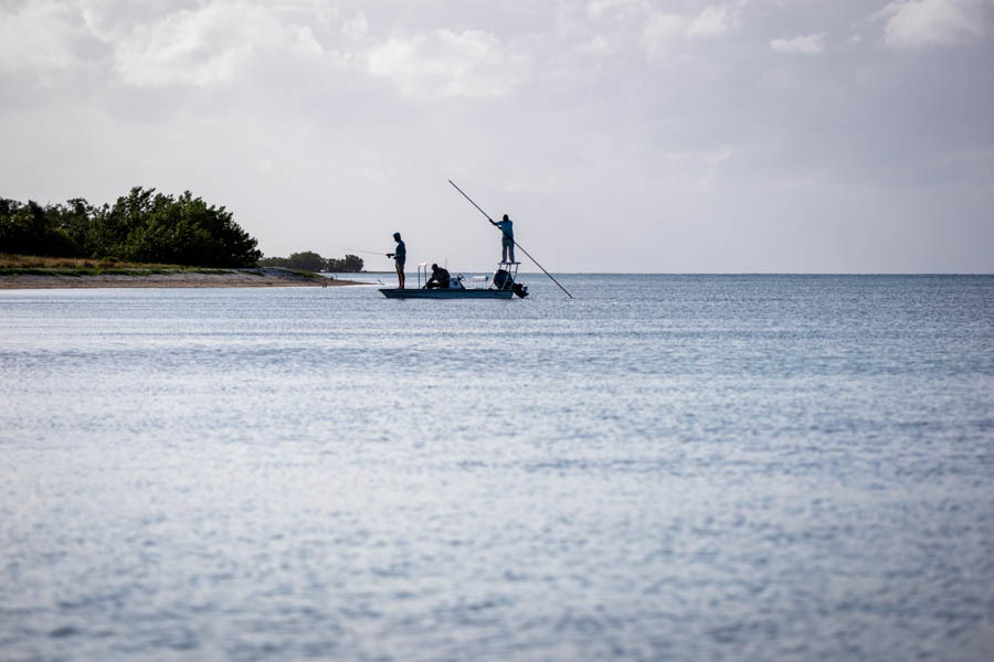 Hooked up in Cuba fly fishing flats Hooked up in Cuba fly fishing flats