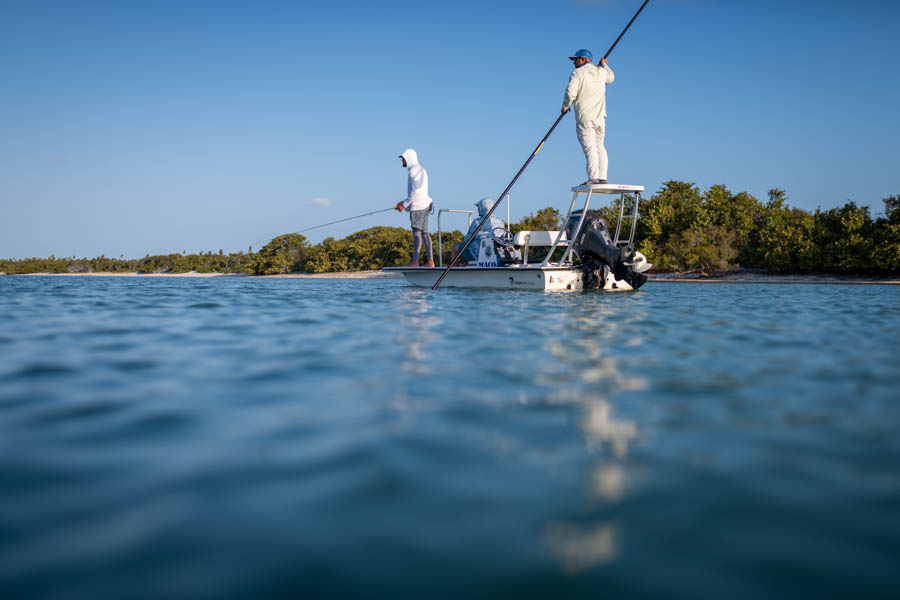 On the fly On the fly