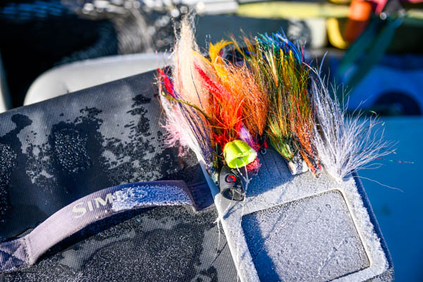 Flies in Mongolia for Taimen