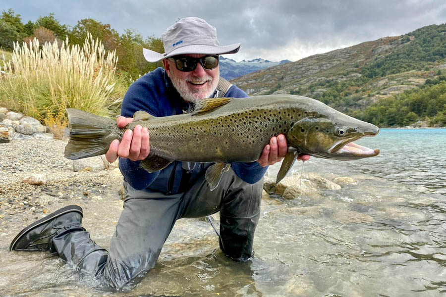Monster Chilean brown trout