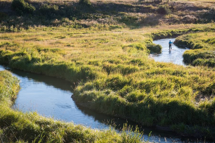 small stream fishing Montana fly fishing