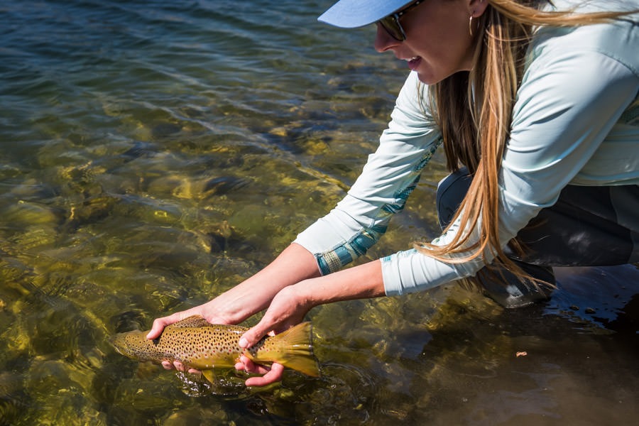 private water fishing montana brown trout