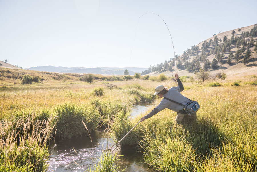 small stream fishing MT