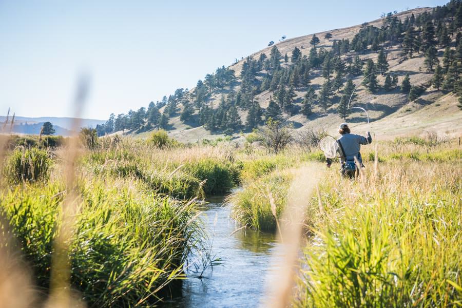 small stream fishing Montana