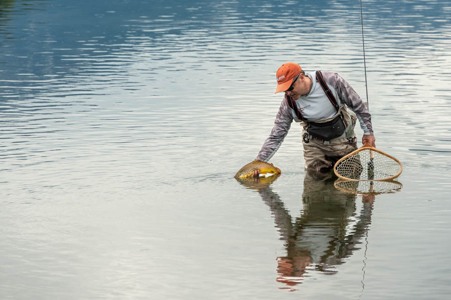 spring creek fishing in Montana