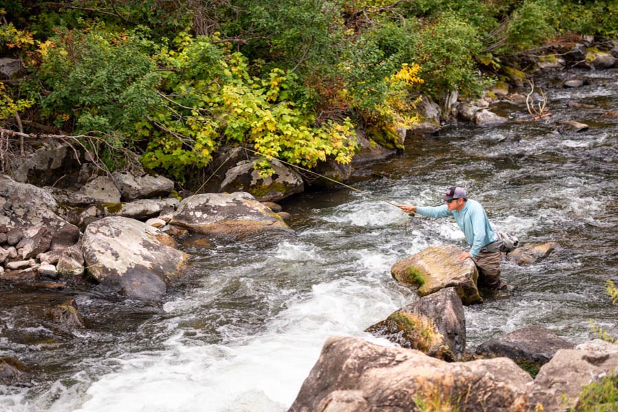 Fly fishing Montana streams