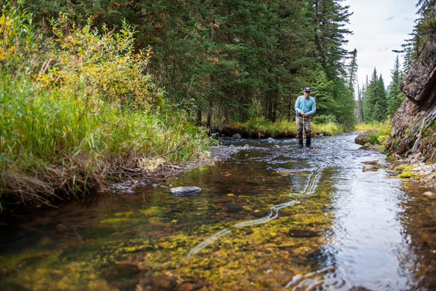 Small stream private access fishing in Montana