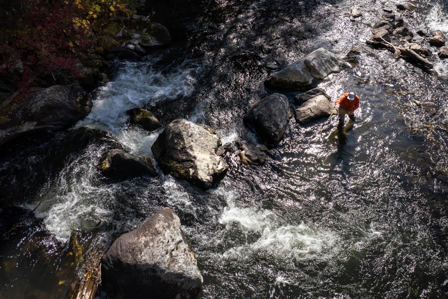 Fly fishing Montana trout streams