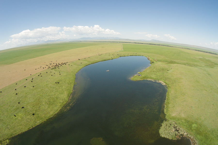 Private lake fishing in Montana