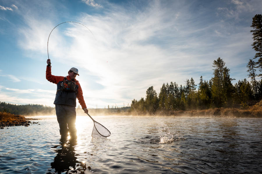 Netting fish in Montana on a river