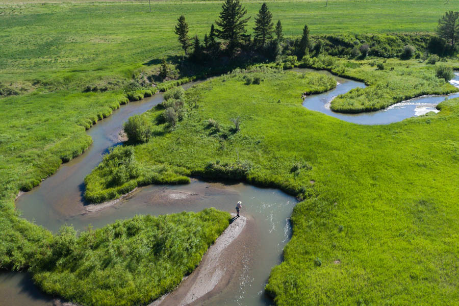 small stream meadow fishing