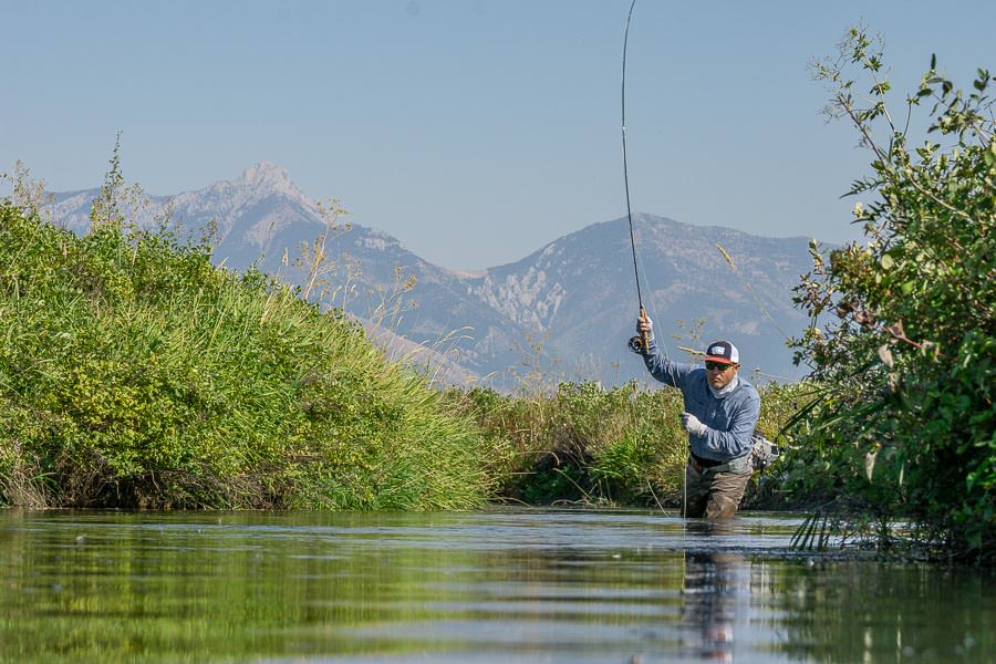 wading private streams montana dry flies