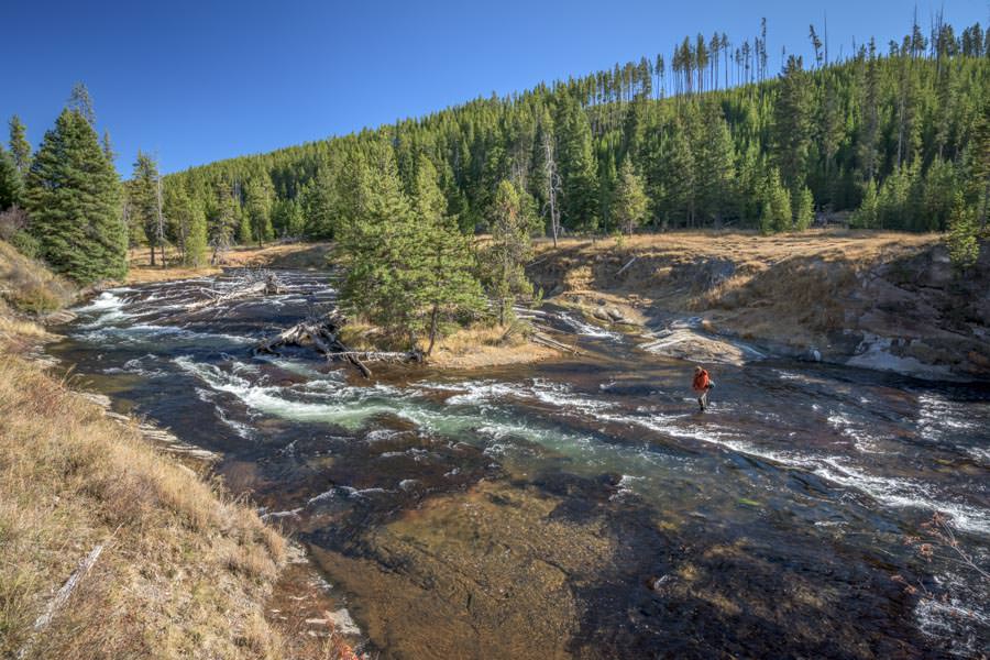 Fly Fishing in Yellowstone