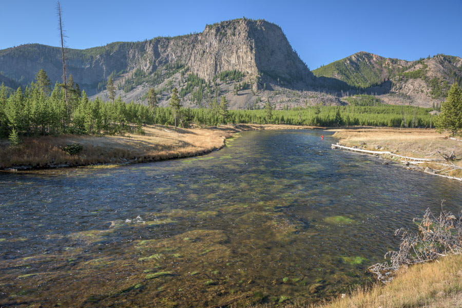 Fly Fishing Yellowstone