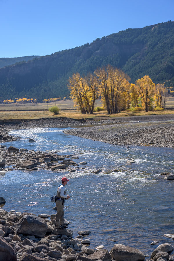 Lamar River Fishing