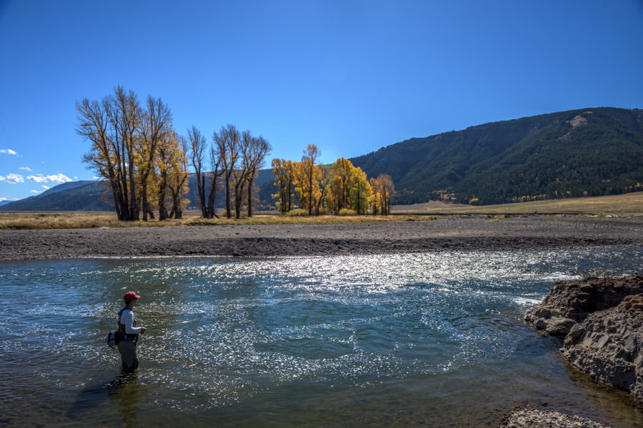 Lamar River Fishing in YNP cutthroat trout