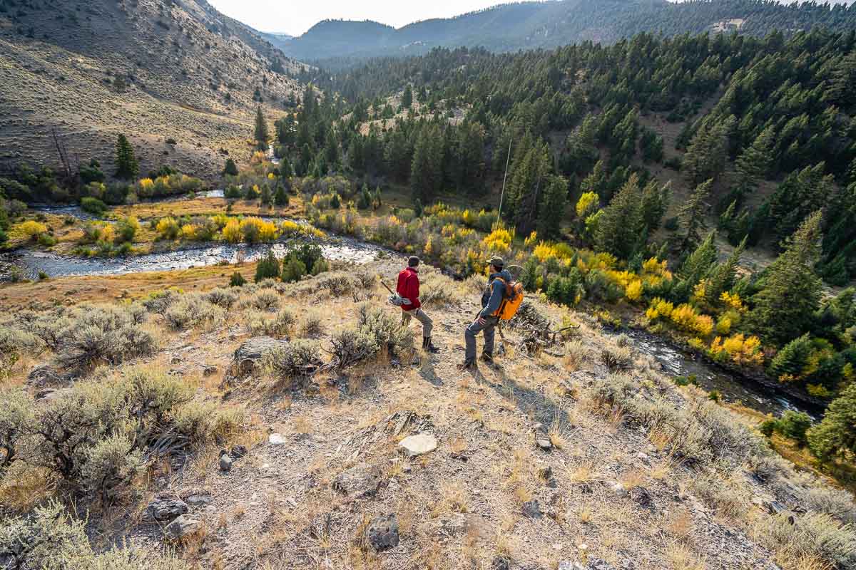 YNP fishing in Yellowstone National Park