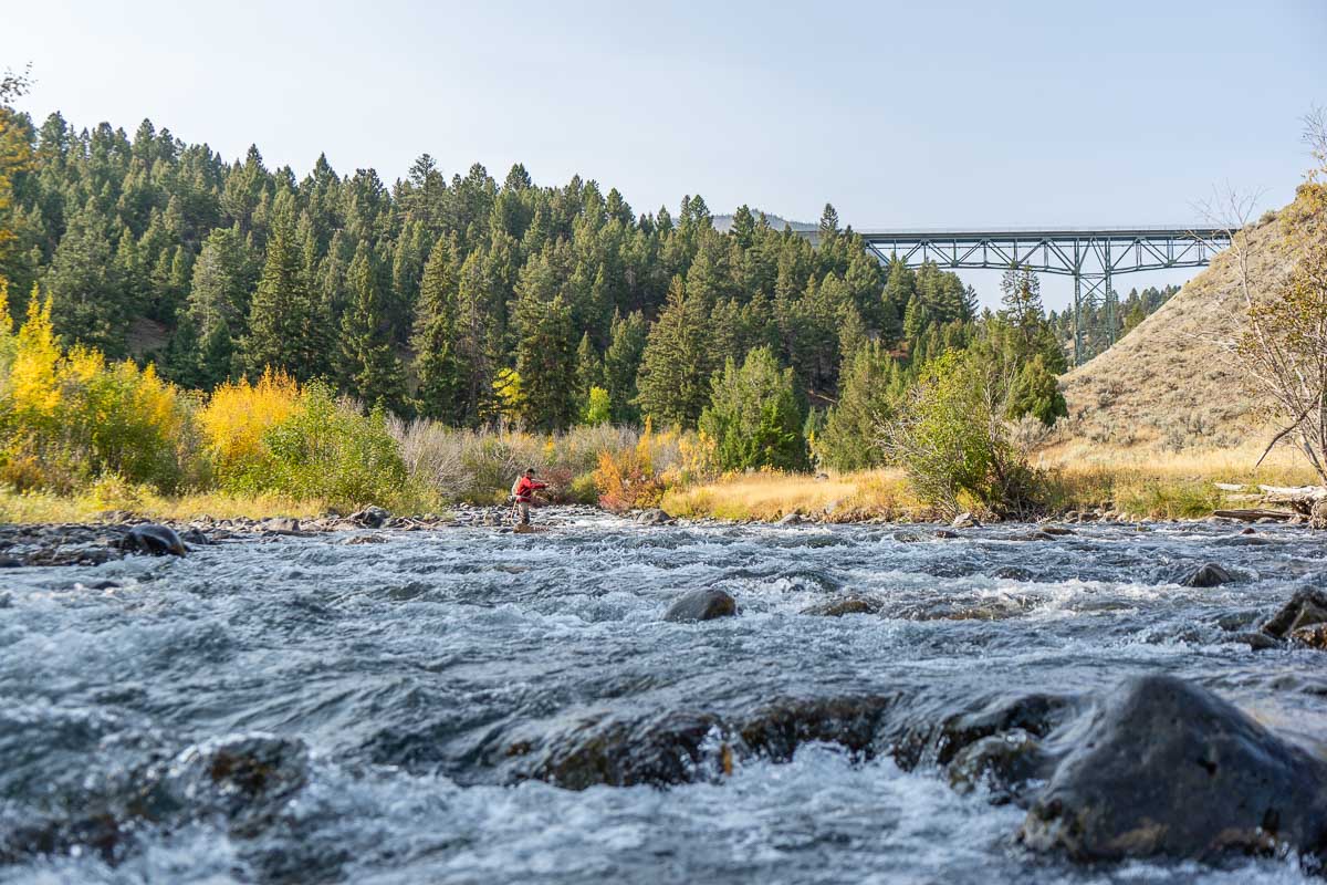 Fly Fishing in Yellowstone Park