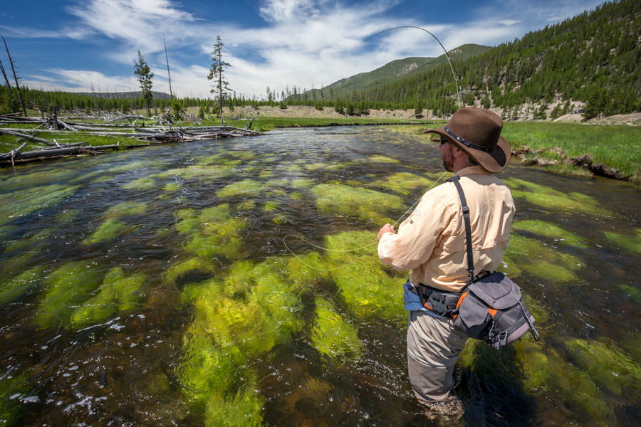 fishing Yellowstone National Park
