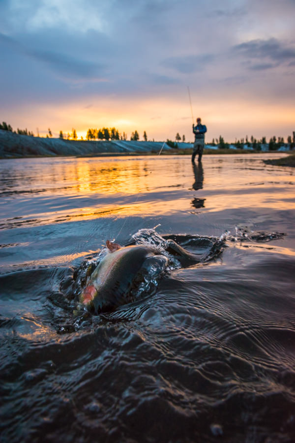 Yellowstone Park fishing