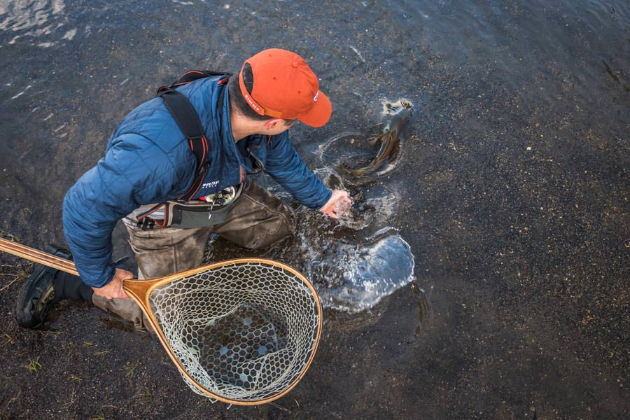 Yellowstone fishing