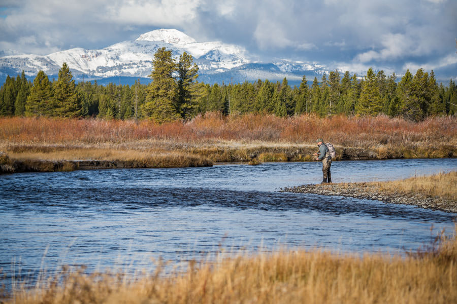 Fly Fishing in Yellowstone National Park