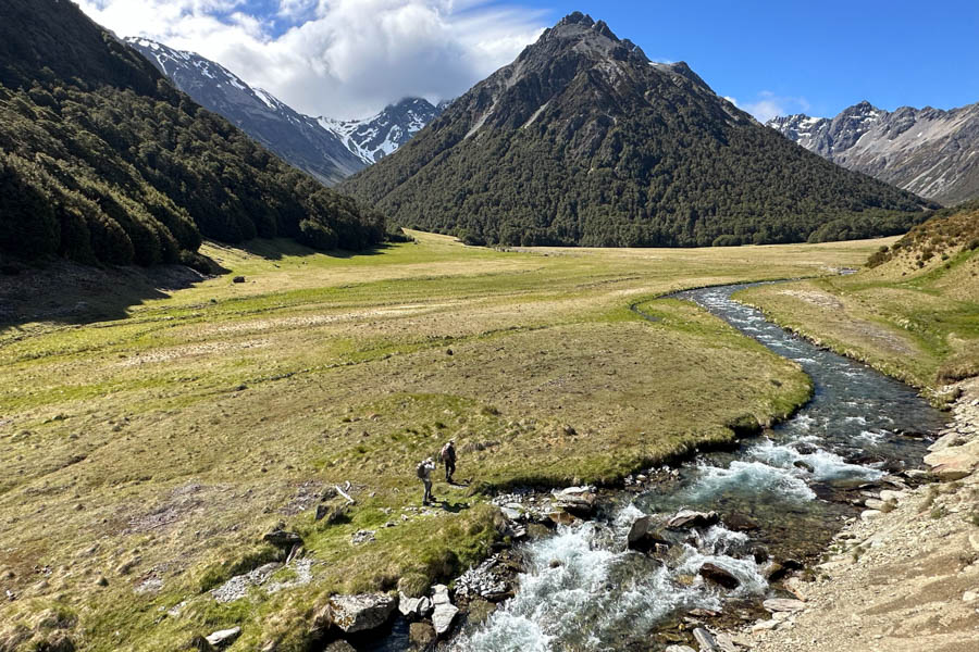 Big Brown Trout New Zealand Fly Fishing Cedar Lodge New Zealand Fly Fishing