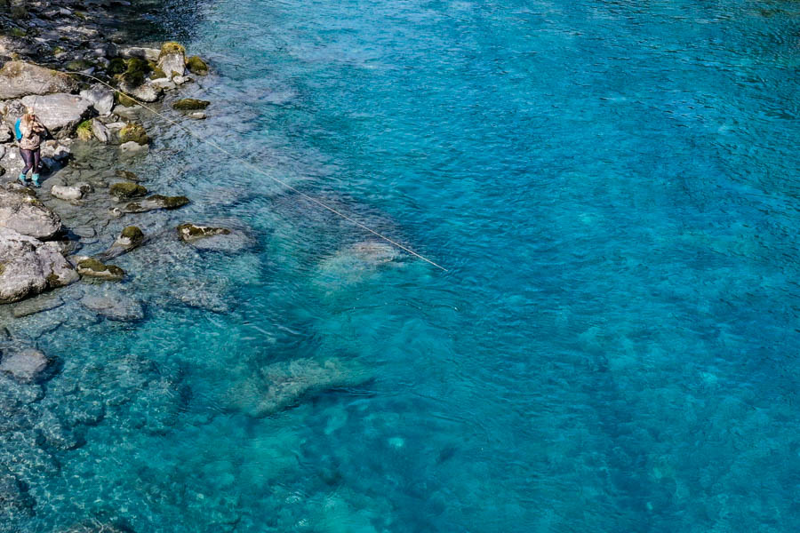 Big Brown Trout New Zealand Fly Fishing Best New Zealand Fly Fishing Lodges